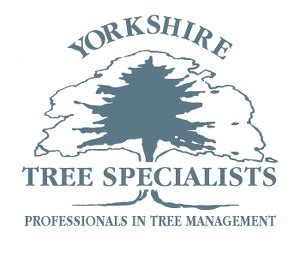 Sean Stockdale: Yorkshire Tree Specialist