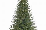 Sears Artificial Christmas Trees