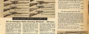 Sears Catalog Vintage Gun Ads