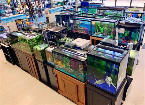 Secondhand Stores Fish Tanks