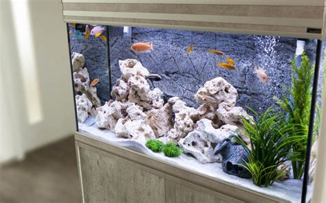 Select the Right Spot for Your Fish Tank