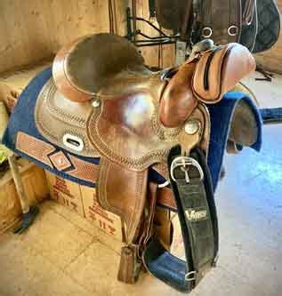 Sellerie Maïris à Octon