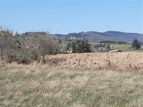 Sellerie Nasht à Vaugneray
