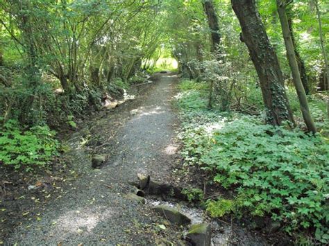 Sentier Des Sources à Bavay