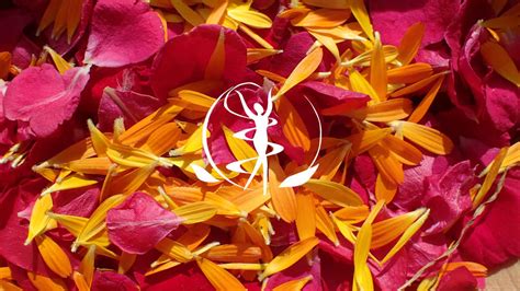 Sentorea Massages & Plantes - Sarah Duvochel à Le Puy-en-Velay