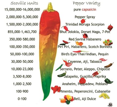 Serrano Pepper Scoville Chart
