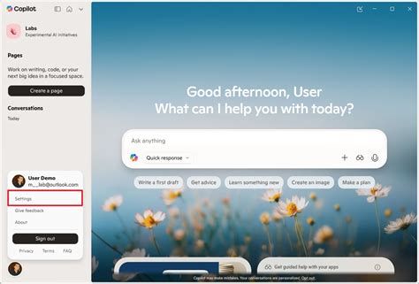 Set up Copilot Connectors for OneDrive, Outlook and Google apps