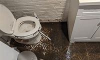 Sewer Backing Up Toilet