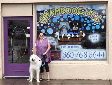 Shampooches Boutique Dog Grooming