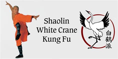 Shaolin Gym Kung Fu white crane Jow-ga.