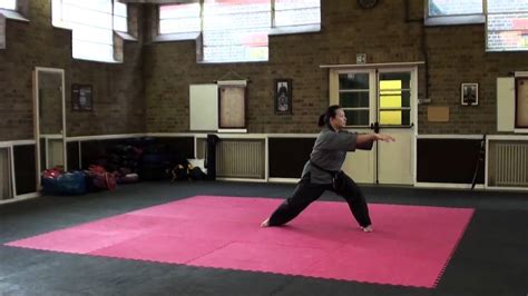 Shaolin Kung Fu - Gao Can Mun Nam Pai Chuan