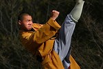 Shaolin Monk Master
