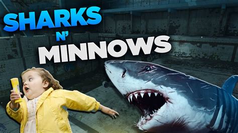 Shark and Minnows