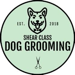 Shear Class Dog Grooming