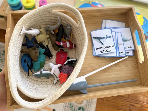 Shelfwork Printables