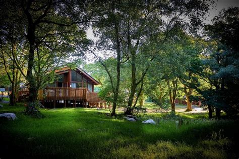 Sherwood Forest Cabin