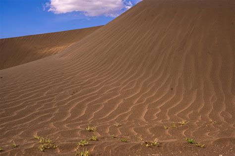 Shifting Sands à Labenne