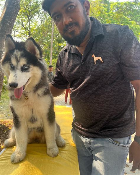 Shimoga Animal Rescue Club