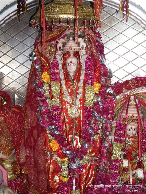 Shree Jai Durga Brahmani Goshala, Pallu
