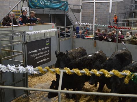 Shrewsbury Auction Centre - UK Livestock & Machinery Dispersal Sales