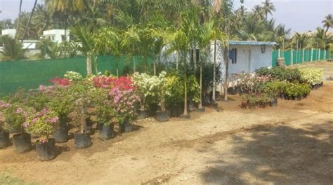 Shri ram nursery & GreenishBloom landscaping services