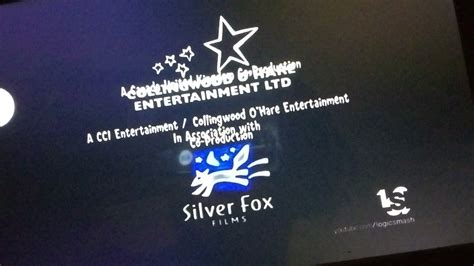 Silver Fox Entertainment & Event Management