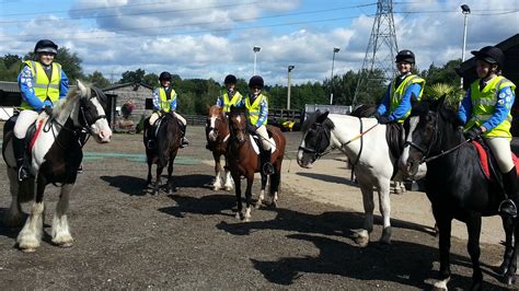 Silvermere Equestrian Centre's Riding School