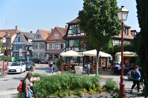 Simba à Schiltigheim