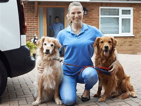 Sit Stay- Professional Dog Walking and Pet Sitting Service