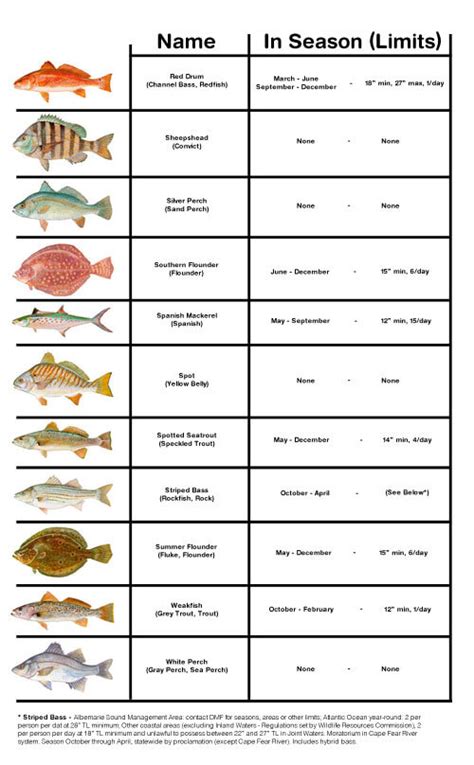 Size Limits of Fish in Mammoth Lakes