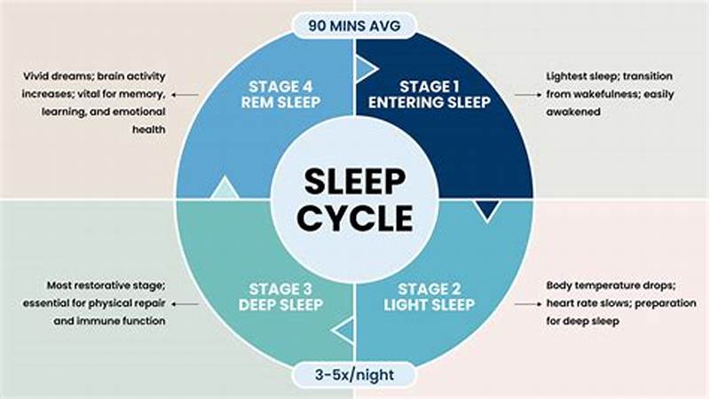 Sleep Pattern Cycle