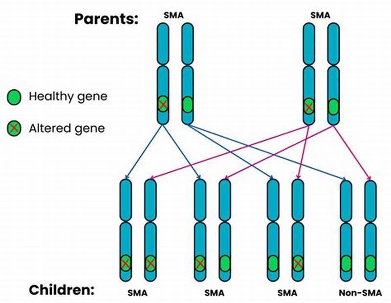 Sma Inheritance Pattern