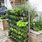Small Space Vegetable Gardening Ideas