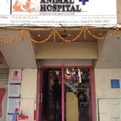 Small and Exotic Animal Hospital