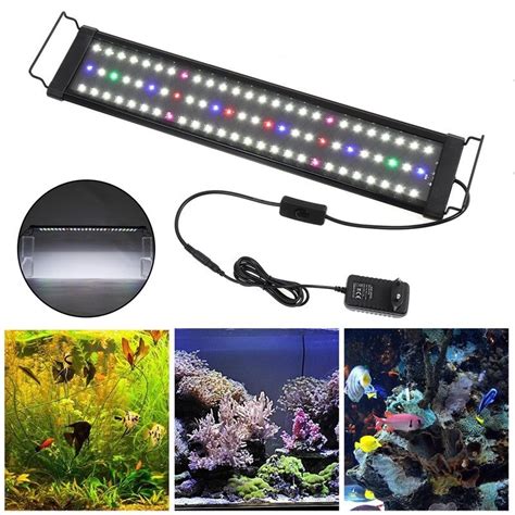 Smart Lighting Aquarium