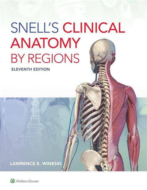 Snell