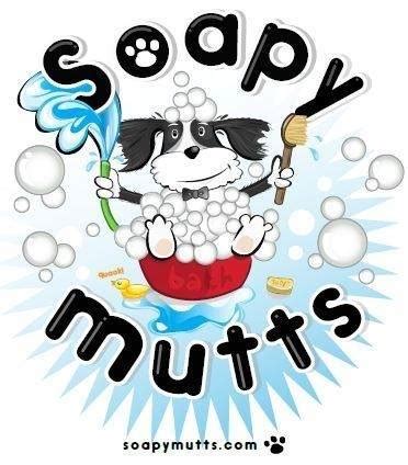 Soapy Mutts Dog Wash