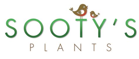 Sootys Plants/ Sweeps Cafe & Restaurant