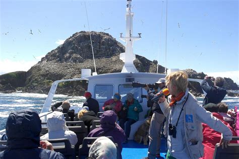 Sortie LPO à Perros-Guirec