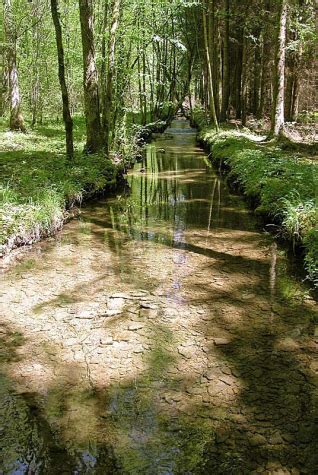 Source de l aube à Auberive