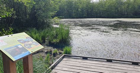 Source du Bief de Barton à Bresse Vallons