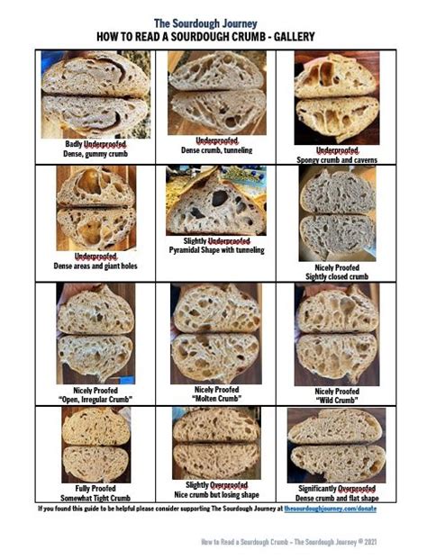 Sourdough Crumb Read Chart