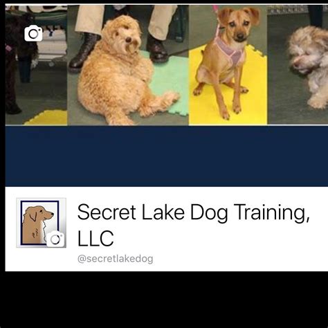 South Lakes Dog Training Services