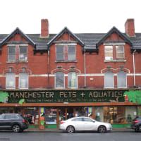 South Manchester Pet Care