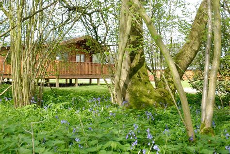 South Winchester Lodges