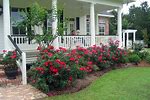 Southern Landscaping Shrubs