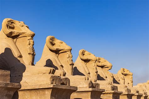 Sphinx à Carpentras