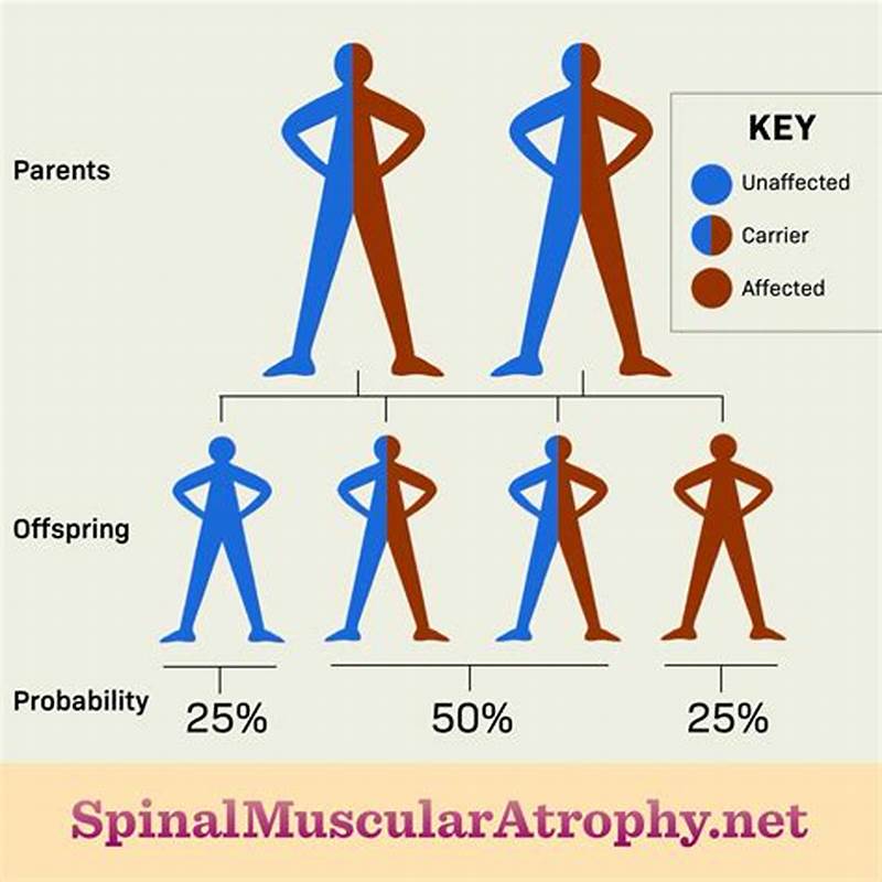 Spinal Muscular Atrophy Inheritance Pattern