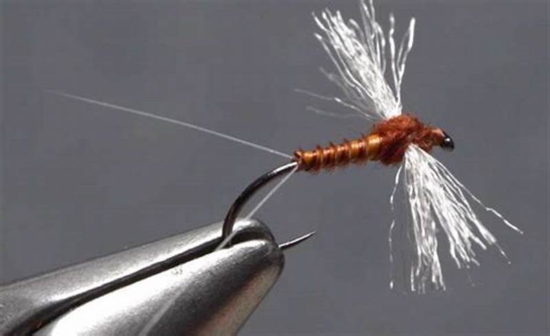 Spinner Fly Pattern