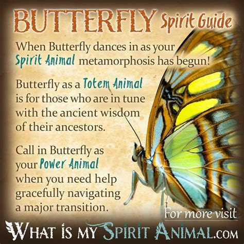 Spiritual Butterfly